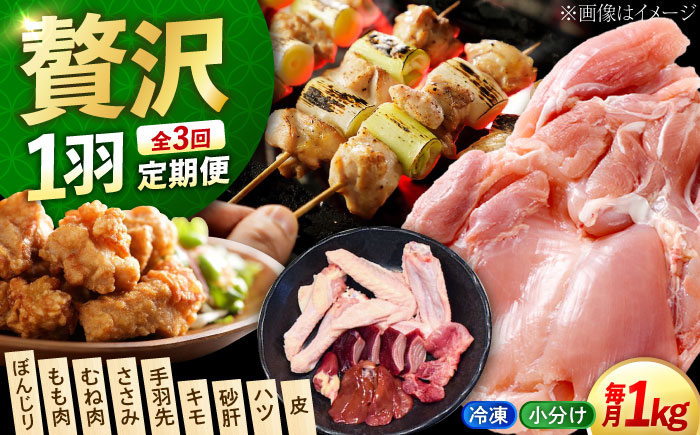 【全3回定期便】【冷凍】 肉 小分け 冷凍 お肉 うまさが違う！ せとうち育ちの江田島産地鶏 一黒シャモ 一羽 パック 合計約1kg 鶏肉 肉 お肉 にく おにく グルメ ギフト 取り寄せ プレゼント 広島県産 江田島市/ポークアンドチキン江田島 [XAH008]