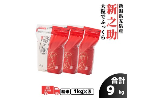 【令和7年産】〈3回定期便〉新之助 精米 3kg (1kg×3袋) 新潟県 五泉市 有限会社ファームみなみの郷