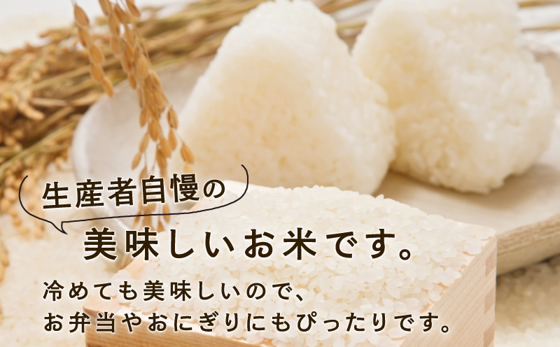 新米 定期便 3回 計30kg 先行予約 特別栽培米 三間米 コシヒカリ 10kg × 3回 伊勢本農園 特別栽培 米 お米 おこめ ごはん こめ コメ ※ kome 白米 精米 お弁当 ブランド米 