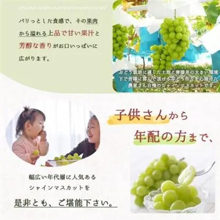紀州和歌山産シャインマスカット　約1kg【配送不可地域：離島・北海道・沖縄県】【1469891】
