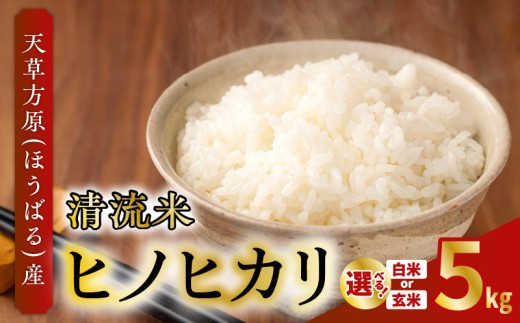 
                  天草方原（ほうばる）産　清流米　ヒノヒカリ　5kg【先行受付】_S150
                