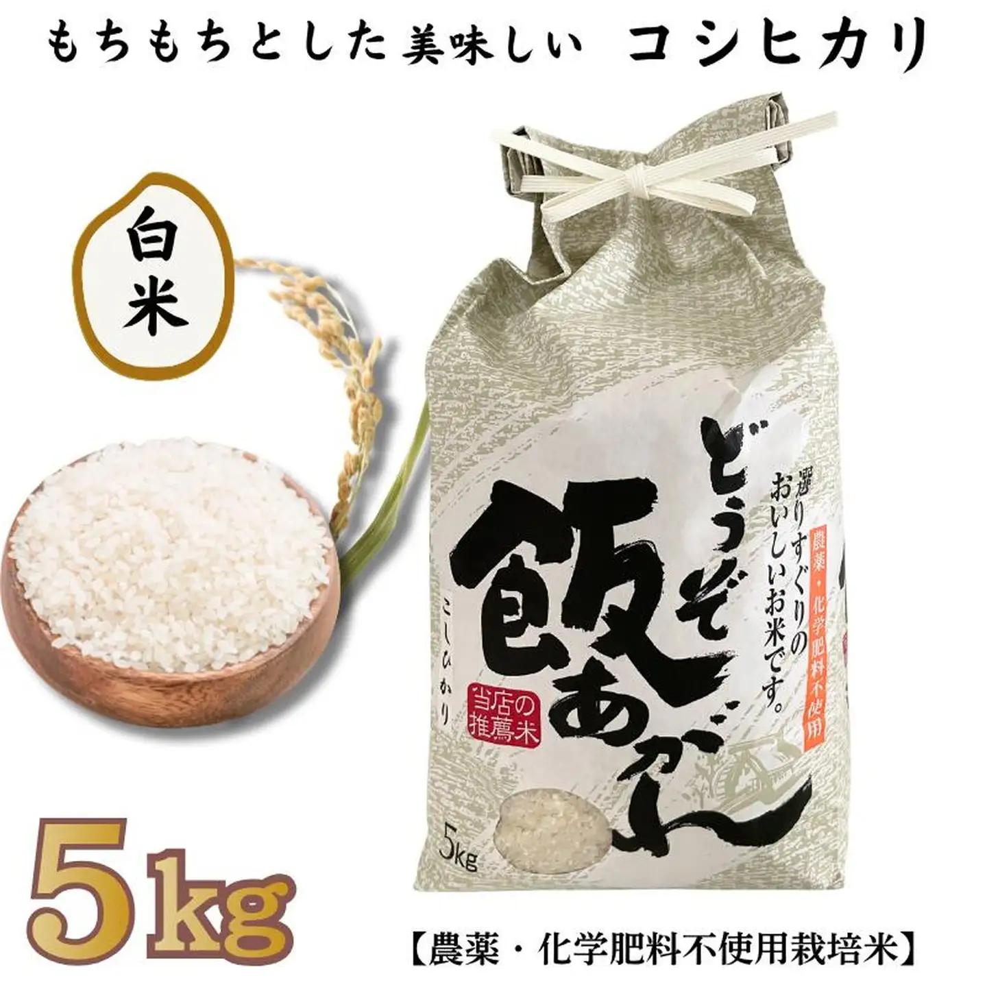 もちもちとした美味しいコシヒカリ 白米 5kg【農薬・化学肥料不使用栽培米】：B230-022