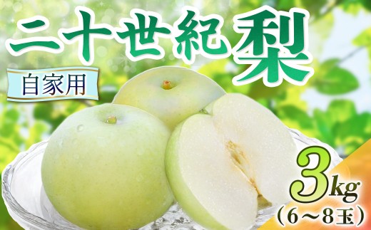二十世紀梨【自家用】3kg（岸田秀果園） 鳥取 梨 果物 フルーツ 和梨 二十世紀梨 20世紀梨 人気 甘い 自家用 産地直送