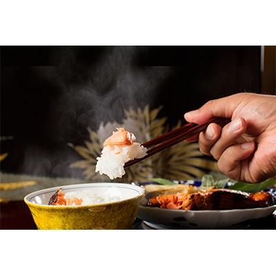 ふるさと納税 南魚沼市 【毎月定期便】南魚沼産コシヒカリ(玄米)【5kg×2袋】全9回 |  | 02