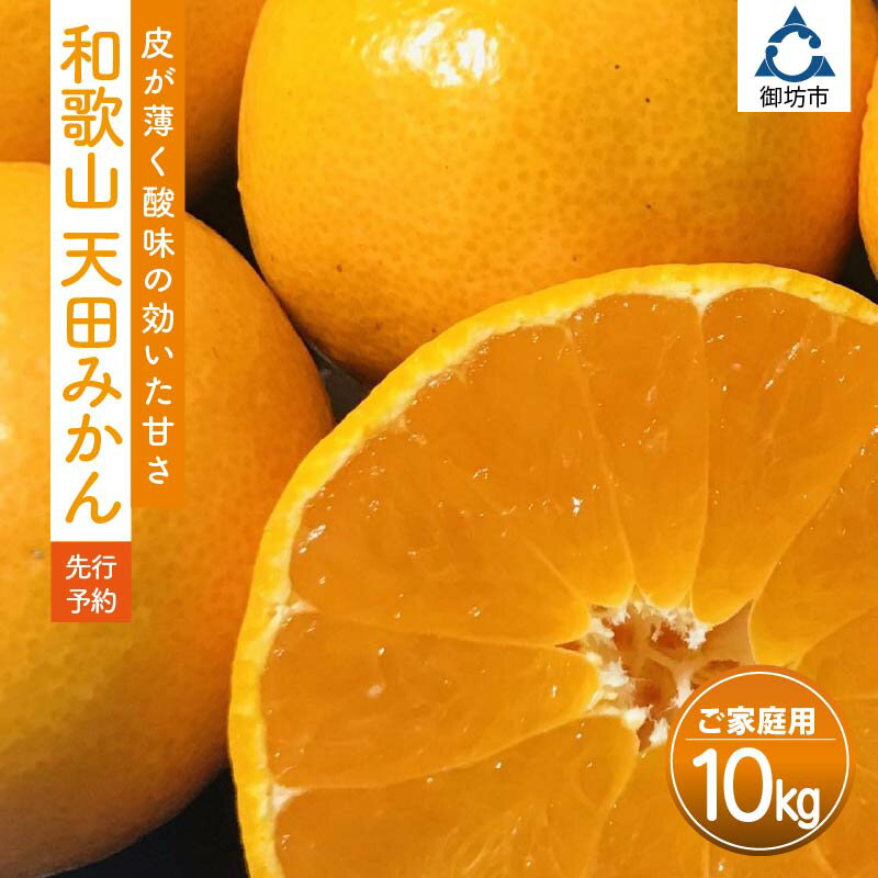 【ふるさと納税】天田みかん（紀州和歌山）家庭用 10kg（先行予約）