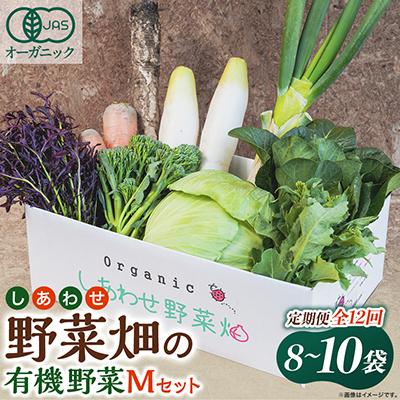 ふるさと納税 掛川市 【毎月定期便】しあわせ野菜畑の有機野菜　Mセット　(安心の有機JAS認証　オーガニック野菜)全12回