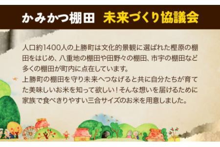 かみかつ棚田未来づくり協議会 米 かみかつの棚田米 柳瀬さんちのお米 アキサカリ レターパック配送 3合《30日以内に出荷予定(土日祝除く)》 徳島県 上勝町 ふるさと納税 送料無料