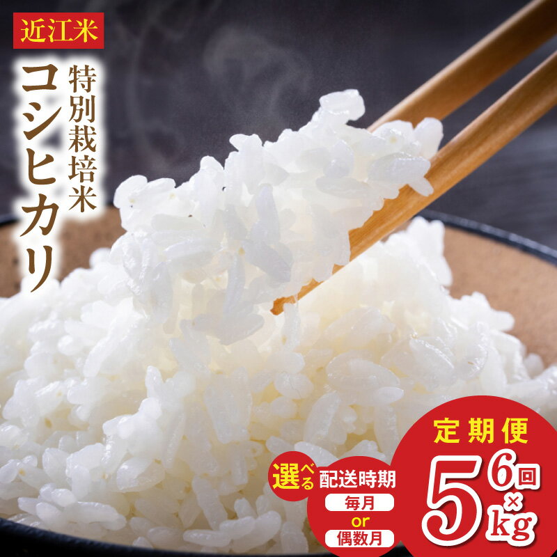 【ふるさと納税】令和8年 先行予約 新米 近江米 コシヒカリ 5kg 6回 定期便 選べる 配送時期 ブレスパック 鮮度保持袋 こだわり ミネラル豊富 地下水 炊き上がり ツヤツヤ ふっくら 食感 おにぎり 炊き込みご飯 国産 米 お米 ご飯 お取り寄せ 滋賀県 守山市 送料無料