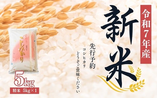 No.2382大文字屋米穀店【令和7年産新米　先行予約】コシヒカリ精米 5kg