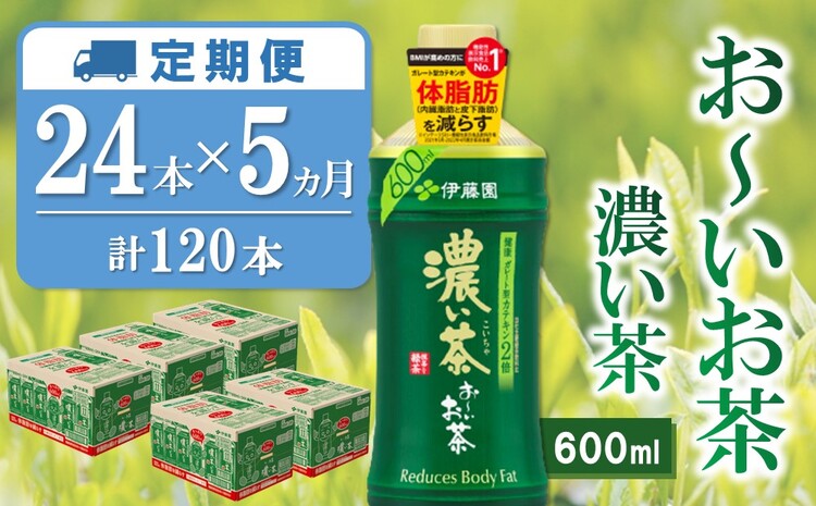 【5か月定期便】おーいお茶濃い茶 600ml×24本(合計5ケース)【伊藤園 お茶 緑茶 濃い 渋み まとめ買い 箱買い ケース買い カテキン 2倍 体脂肪 備蓄 防災 熱中症】K071449