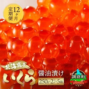 【毎月定期便】いくら醤油漬け 500g(250g×2パック)×5箱＜北海道産の鮭卵＞全12回【配送不可地域：離島】【4067973】