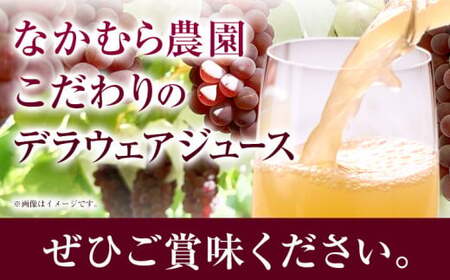 デラウェア ジュース 720ml 6本 有限会社なかむら農園《30日以内に出荷予定(土日祝除く)》大阪府 羽曳野市 ジュース 飲料品 ドリンク ぶどう ブドウ 葡萄 送料無料  羽曳野市産デラウェア 