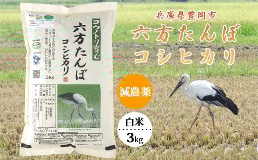 六方たんぼ コシヒカリ 減農薬（白米：3kg）令和7年産 / 米 お米 精米 コシヒカリ コウノトリ育む農法