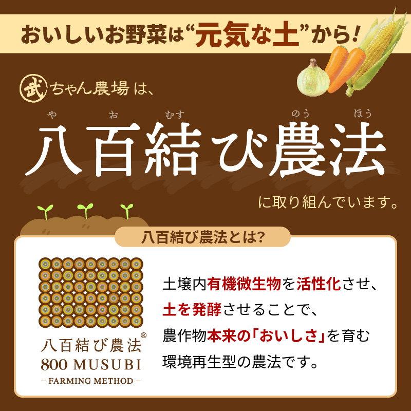 甘さと栄養で体も笑う武ちゃん農場の“ハッピーキャロット 4kg　H095-021