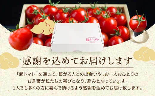出雲の國からの贈り物～超トマト1kg ＆ 超トマトジュース１本【トマト とまと 野菜 やさい トマトジュース 野菜ジュース 新鮮 産地直送 贈答 出雲 出雲市 おすすめ 人気】