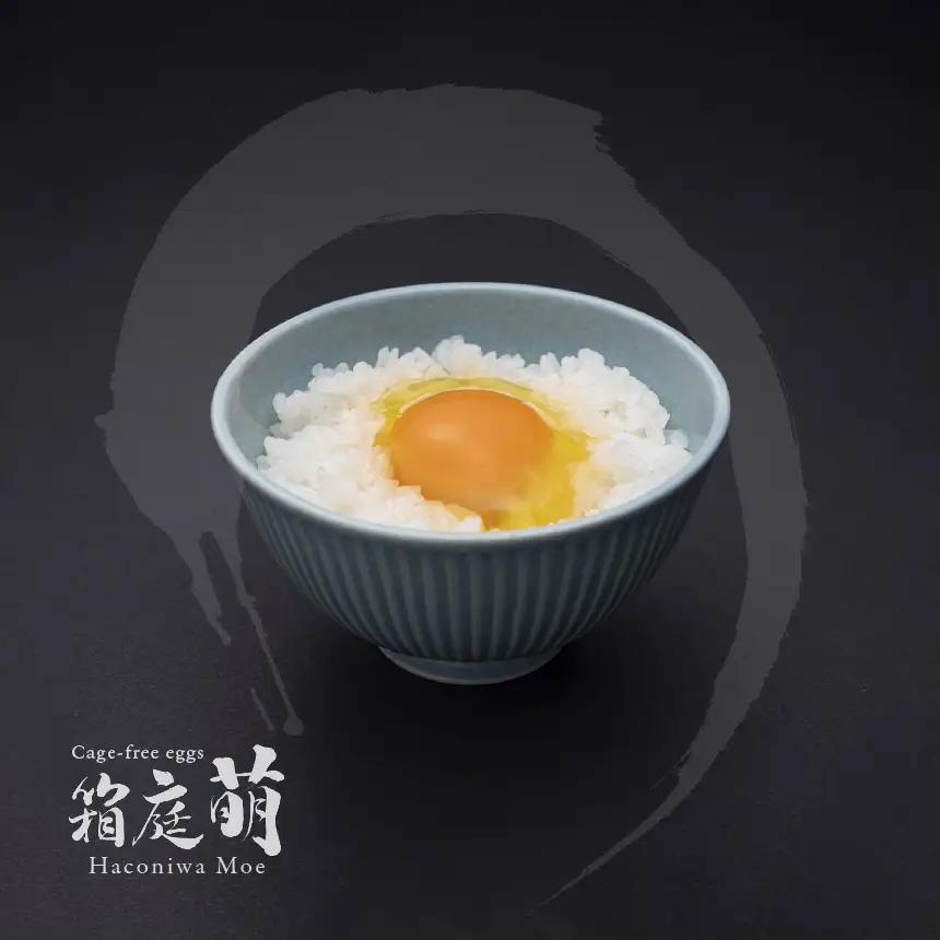 【定期便3回】懐かしさを感じる 箱庭たまご 「箱庭萌」 10個 | 卵 たまご テレビ 話題 ごはん お供 タマゴ 卵かけ 真岡市 栃木県 送料無料