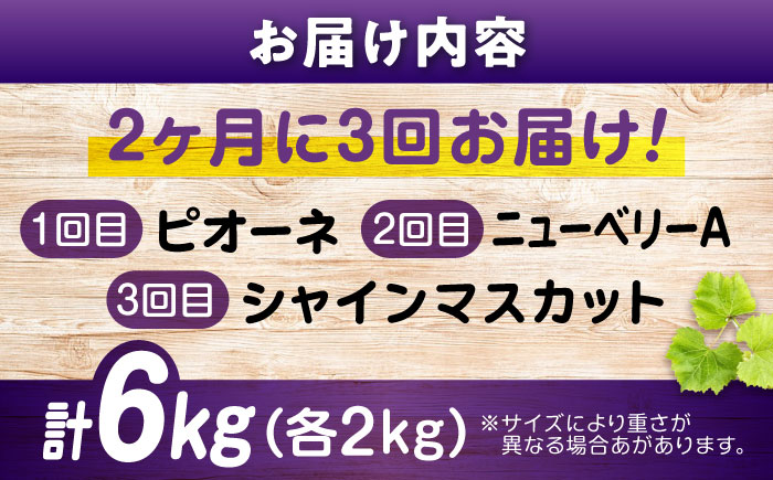 【全3回定期便】期間限定 贅沢3種の沼隈ぶどう定期便 各2kg (ピオーネ シャインマスカット ニューベリーA) 広島県福山市/福山市農業協同組合　沼隈グリーンセンター 種なし 大粒 [BAEV003