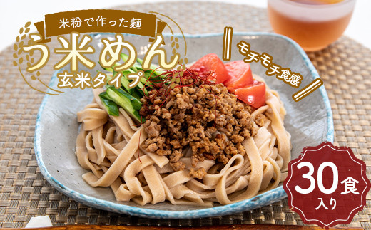 
たくさん食べれる グルテンフリー 米粉で作った麺「う米めん」玄米タイプ30食入り F21T-246
