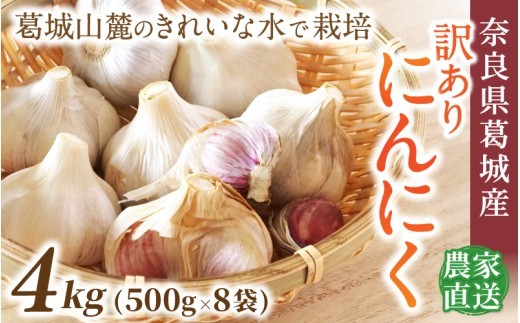
                  奈良県葛城産 訳あり にんにく 約4kg(500g×8袋)  【入金確認後１か月以内に発送】／ スマイル葛城農業 若手農家 新規就農者 にんにく 農家直送 産直 新鮮 旬 名産 健康 美容 栄養 奈良県 葛城市【smlk019】
                