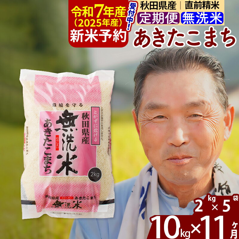【ふるさと納税】※令和7年産 新米予約※《定期便11ヶ月》秋田県産 あきたこまち 10kg【無洗米】(2kg小分け袋) 2025年産 お届け時期選べる お届け周期調整可能 隔月に調整OK お米 おおもり