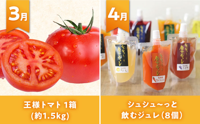 【全12回定期便】シュシュ大人気コース復刻版１ 大村市 おおむら夢ファームシュシュ [ACAA093]