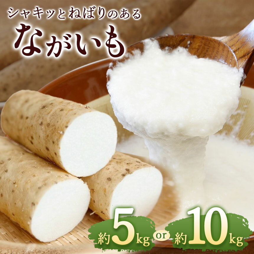 【ふるさと納税】食物繊維たっぷり！！しっかりとした粘り気♪ 長野県産 ながいも 【選べる容量】約 5～10kg（3本～11本） | ながいも ナガイモ 野菜 やさい やまいも 長芋 長いも とろろ 粘り お好み焼き ねばねば 食感 漬物 美容 長野県 塩尻市
