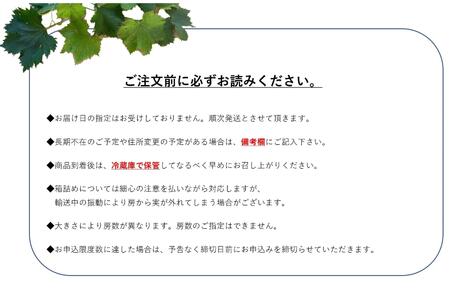 【農家直送（収穫日に発送）】種無し巨峰　◆約３ｋｇ（5～7房）