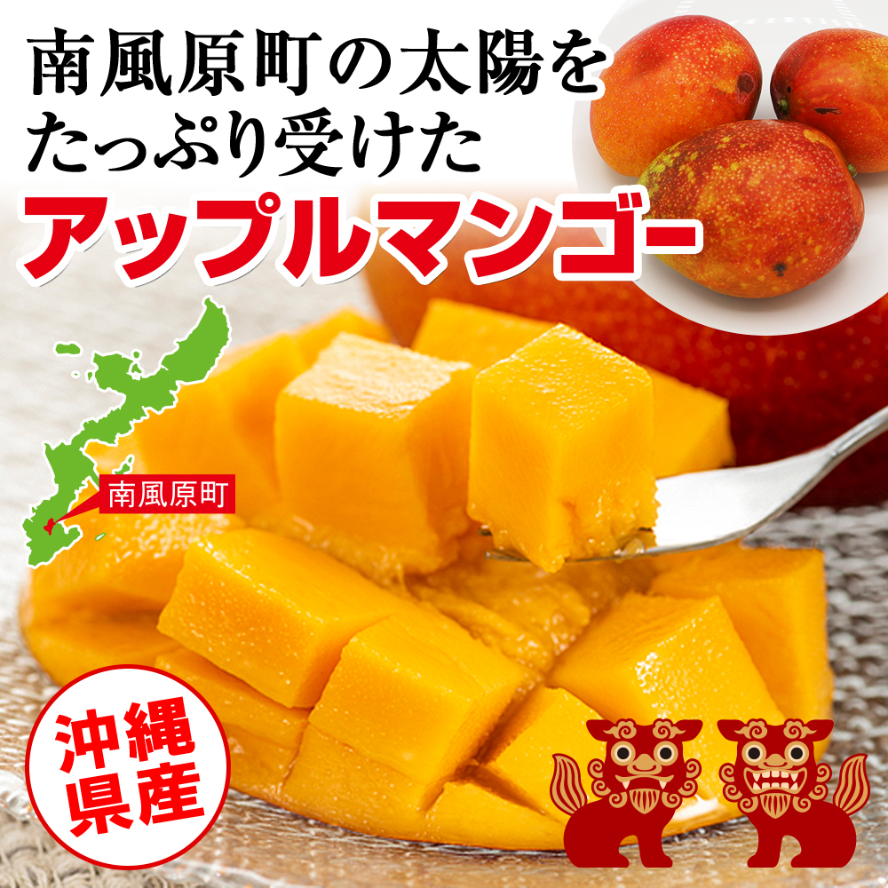 【2026年発送】比嘉マンゴーファームのアーウィンマンゴー 秀品(贈答用)2kg_イメージ4