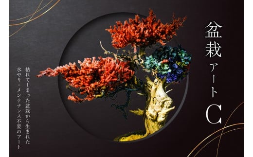 盆栽アート【C】 【盆栽 アート 伝統文化 インテリア ディスプレイ 再生 植物】