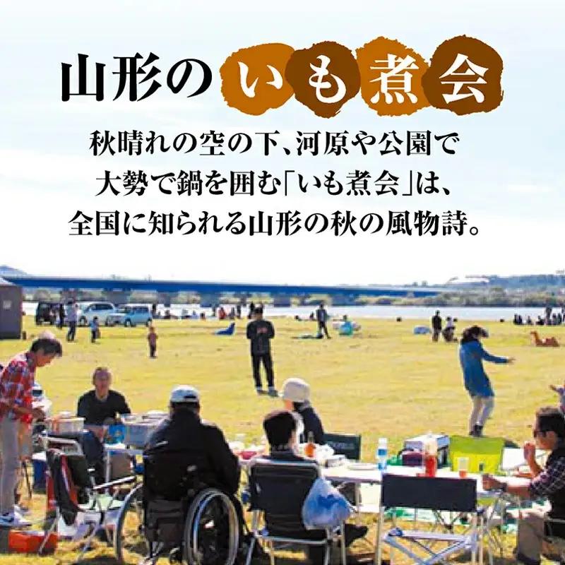 山形のいも煮 内陸味（醤油味・牛肉入り）2袋と庄内味（味噌味・豚肉入り）2袋 食べ比べセット F2Y-4837