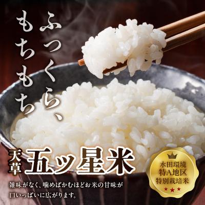 ふるさと納税 天草市 天草五ッ星米卵かけご飯セット(お米 5kg 卵 30個)_S061-003A |  | 01