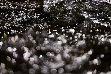 Canon 高画質マクロレンズ RF100mm F2.8 L MACRO IS USM