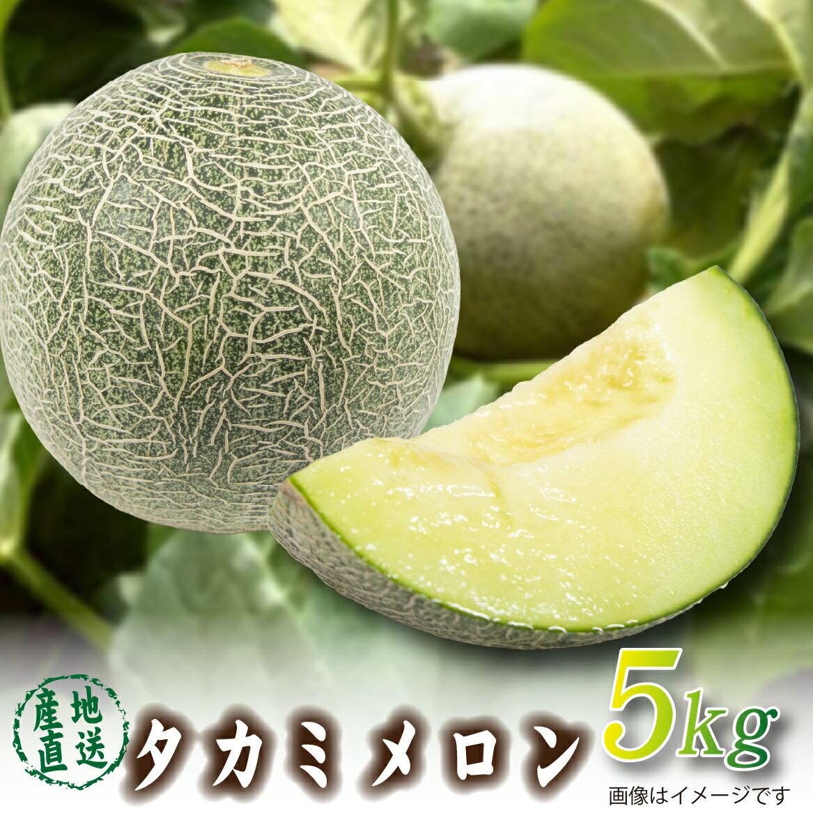 【ふるさと納税】【2026年発送 先行予約】生産農家応援・もぎたて直送 タカミメロン 5kg程度（メロン フルーツ 果物 くだもの 先行受付 2026 宮崎）