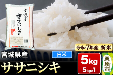【新米受付】【令和7年産・白米】宮城県産 ササニシキ 5kg (5kg×1袋)