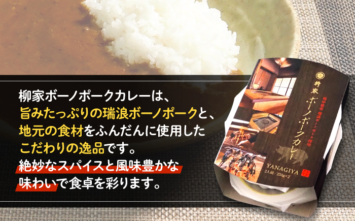 柳家 ボーノポークカレー 250g×2個 瑞浪市 / 陶ホープフル レトルト スパイス ギフト [AZBC001]