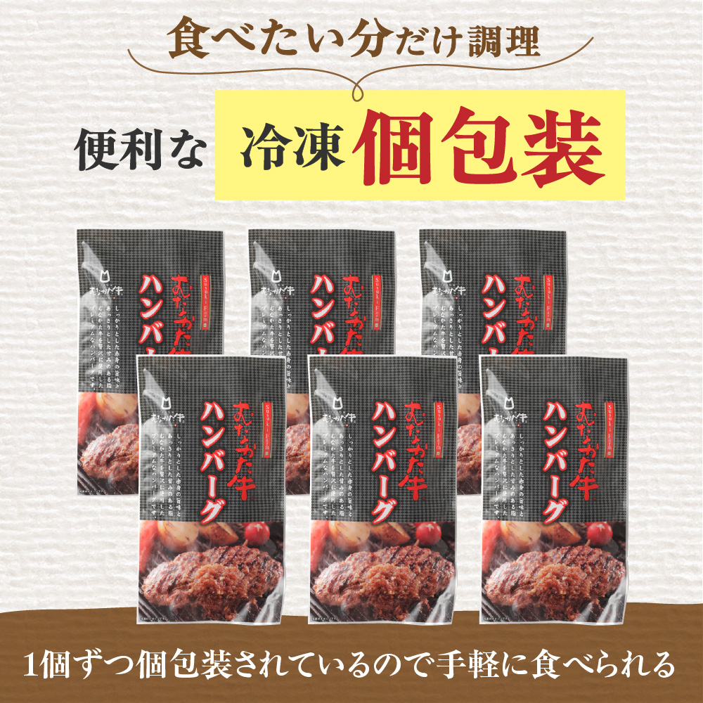 【定期便／年6回／隔月お届け】むなかた牛ハンバーグ6個セット6ヶ月定期便【すすき牧場】_HB0038