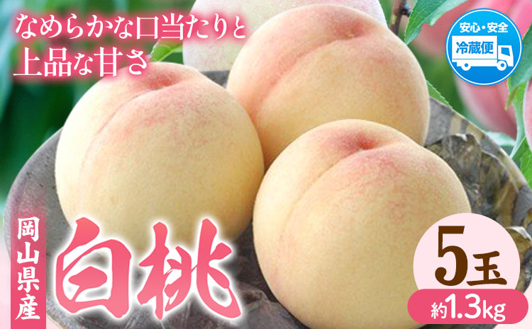 【先行予約】岡山県産 白桃  5玉（約1.3kg） クール便 晴れの国 おかやま館(フルーツランド岡山) 《7月中旬-7月下旬頃出荷》岡山県 浅口市 白桃 桃【配送不可地域あり】（離島）---124_c2177_7b7c_25_20000_5p---