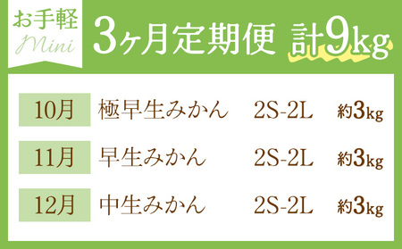 3ヶ月定期便 みかん 計9kg 日本フルーツ株式会社 ミカン
