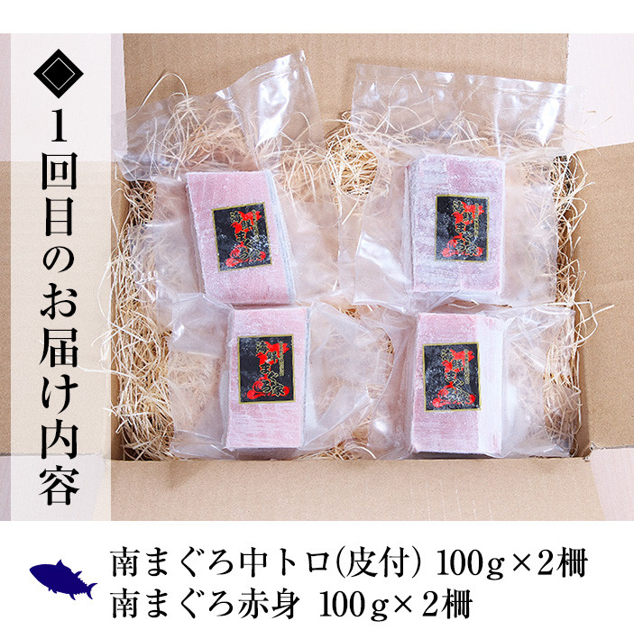 ＜定期便・全3回(毎月)＞極上天然南まぐろセット！大トロ・中トロ・赤身・ネギトロ(総量1.4kg)まぐろ 鮪 刺身 海鮮丼 海鮮 魚介 タタキ さかな 柵 南マグロ【海鮮まぐろ家】【E-126H】