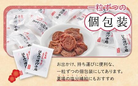 紀州南高梅 はちみつ 種なし 干梅 600g 大容量 【 紀州南高梅 干し梅 種無し梅干し たねなし梅干し はちみつ干し梅 ハニー はちみつ梅干し ハチミツ梅干し 干し梅 】