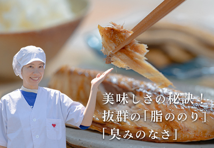 海の幸セット(干物・海産物詰め合わせ)　5～6品