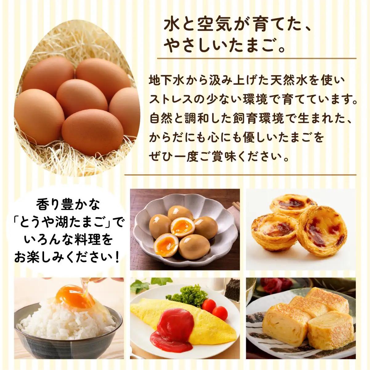 [5525-0923]【3ヵ月 定期便】 北海道 伊達市 とうや湖 卵  60個 入り たまご