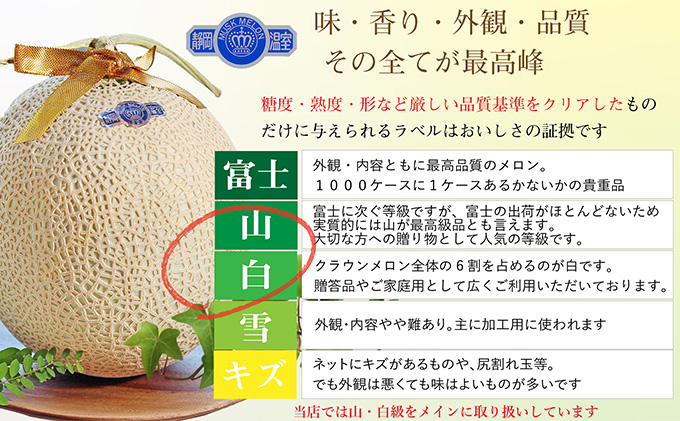 【6か月定期便】クラウンメロン【上（山等級）】中玉（1.3kg前後）1玉入り
