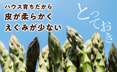 【2026年春発送】 ハウスグリーンアスパラ 1㎏ L～2Lアップ