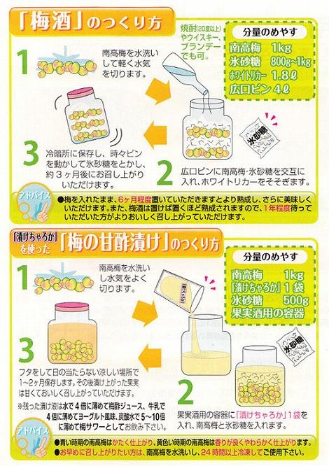 ［梅干・梅酒用］（3Lまたは2L−2Kg）熟南高梅＜2026年6月上旬〜7月7日発送予定＞フルーツ 果物 くだもの 食品 人気 おすすめ 送料無料［ART06］