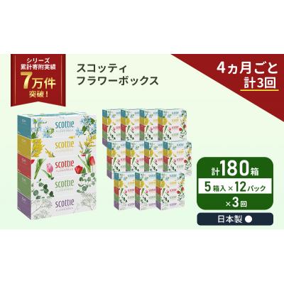 ふるさと納税 岩沼市 定期便 ティッシュ スコッティ  180箱 (5箱×12P)《計3回》[No.5704-1134] |  | 01