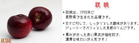 りんご 秋映 秀 ～ 特秀 5kg 渡辺農園 沖縄県への配送不可 2024年10月中旬頃～2024年10月下旬頃まで順次発送予定 令和6年度収穫分 エコファーマー 減農薬 長野県 飯綱町 [0363]