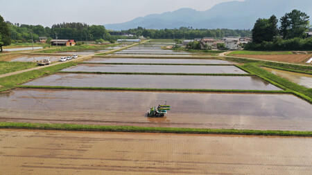 山梨県北杜市産 コシヒカリ 精米2kg　お米 米 精米 2kg おいしい 粘り 上品な甘さ つや お弁当 おにぎり 山梨県 北杜市 [h358]