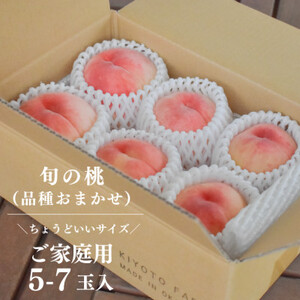 【発送月固定定期便】【きよとうファーム】桃と葡萄どっちも食べたい便!【お試し便】(岡山県産)全2回【配送不可地域：離島】【4067481】