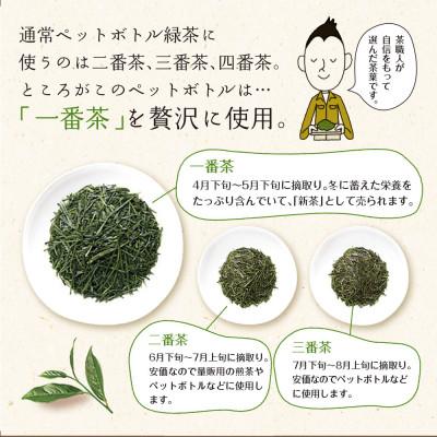ふるさと納税 牧之原市 静岡県牧之原産一番茶厳選 茶匠庵 緑茶ペットボトル 500ml×24本 |  | 02